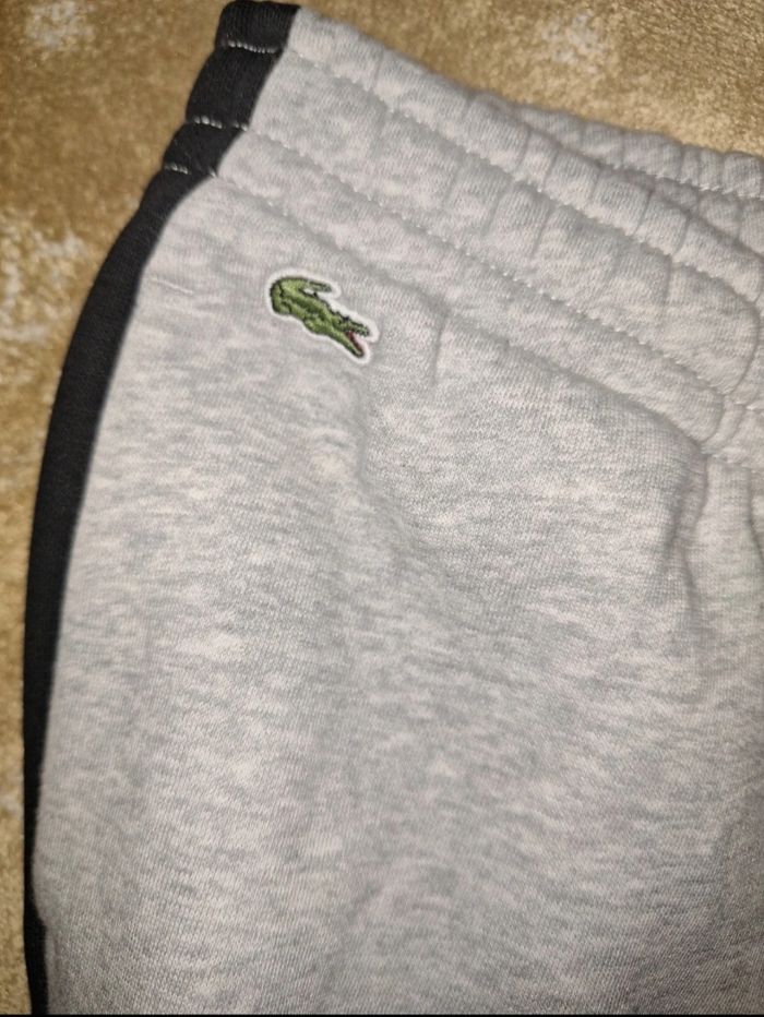 Pantalon lacoste rare - photo numéro 5