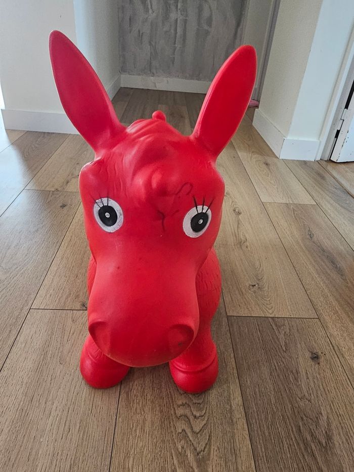 Chien sauteur - photo numéro 4