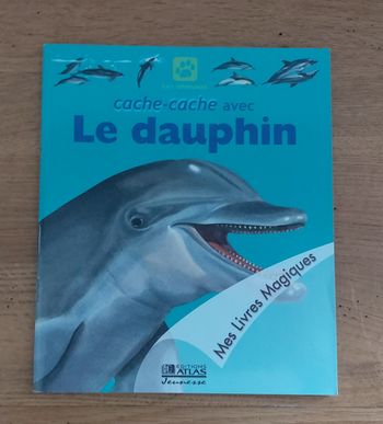 Cache cache avec Le dauphin