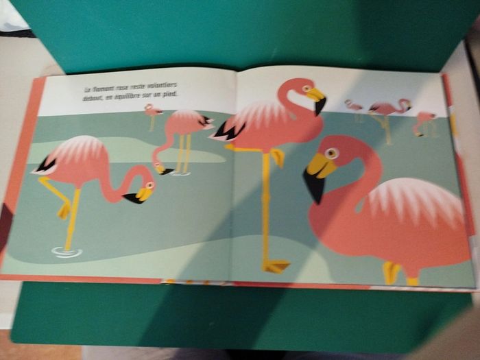 Livre enfant La famille ciel - photo numéro 4