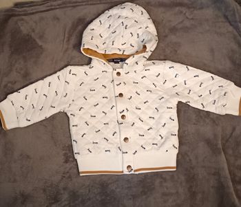Gilet motif fourmis