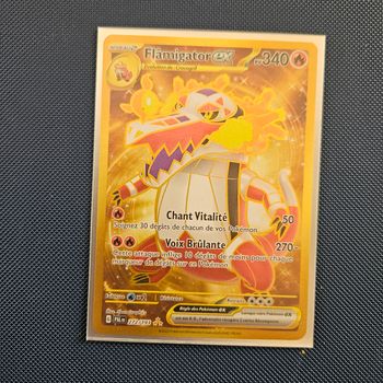 Pokémon Flâmigator