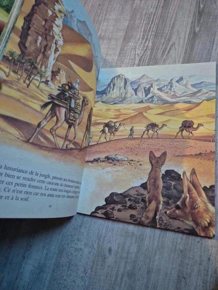 Livre - photo numéro 4