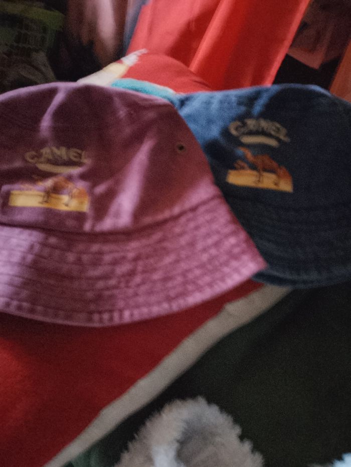 Bob camel - photo numéro 2