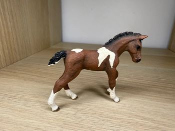 Poulain trakehnen schleich