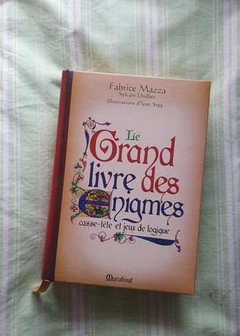 Le grand livre des énigmes