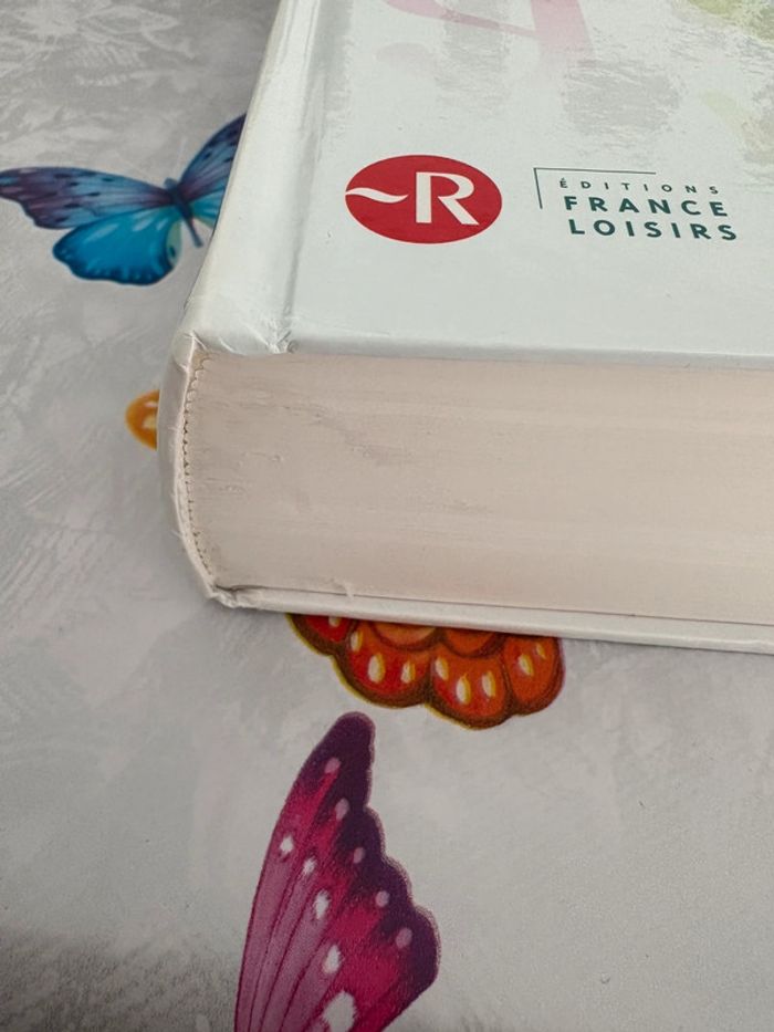 Dictionnaire - photo numéro 5