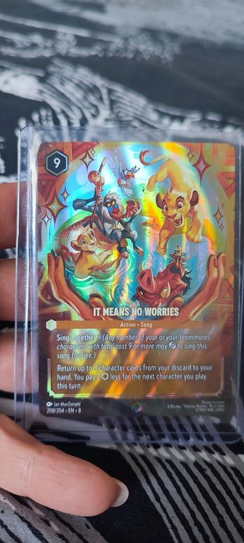 208/204 • EN • 8