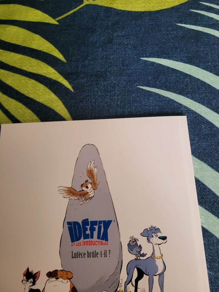 Livre idefix et les irréductibles lutece brûle t il - photo numéro 6