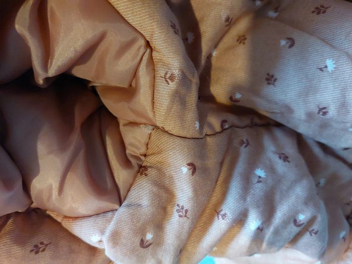 Tape à l'Oeil - Manteau Fille 9M - photo numéro 11