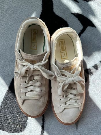 Baskette puma platform suede