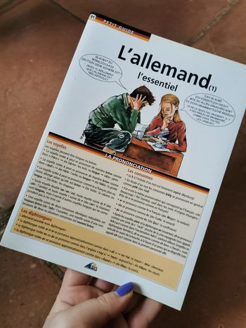 L'Allemand l'essentiel 91 Petit Guide