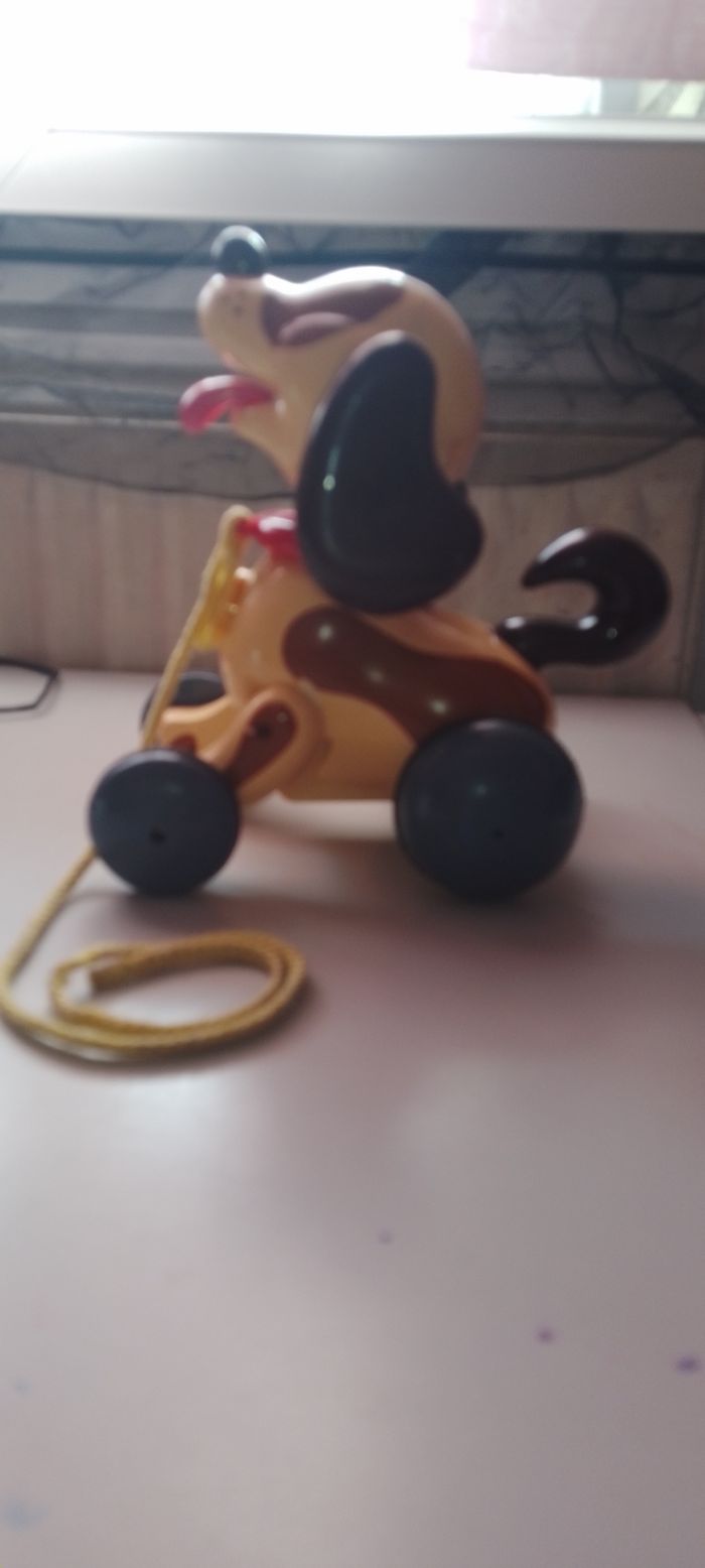 Chien - photo numéro 3