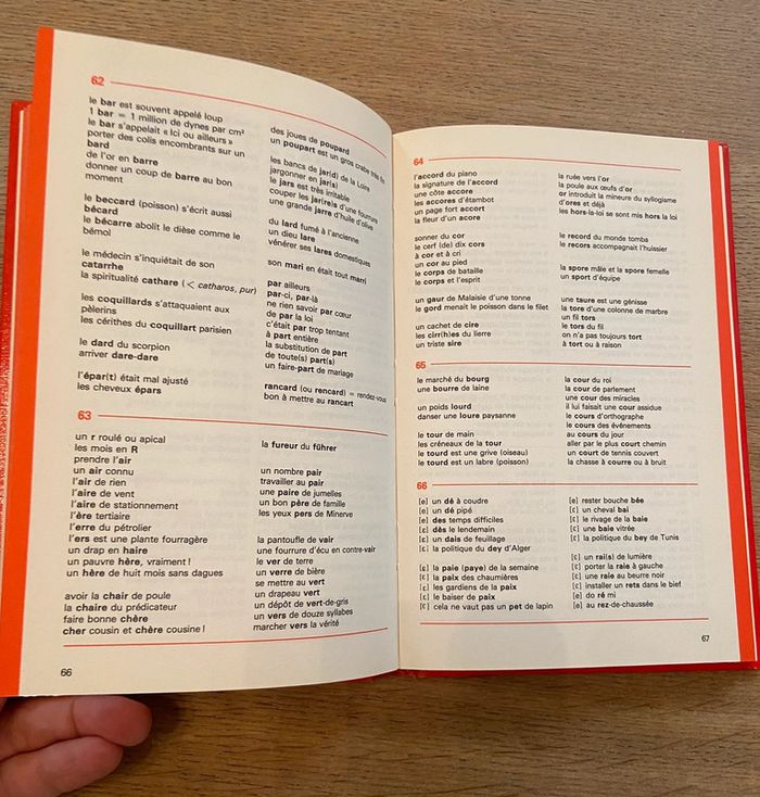 Lot de deux Bescherelle : conjugaison et orthographe, homonymes et mots difficiles - photo numéro 10