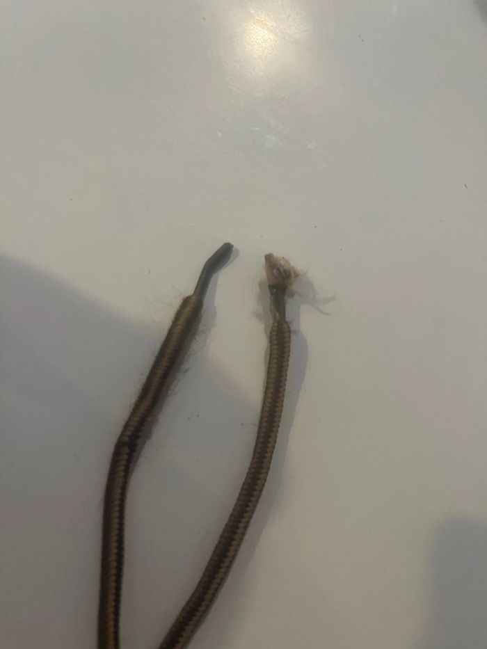 Chaussures - photo numéro 4