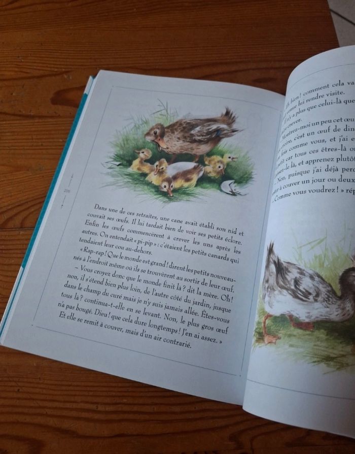 Livre de contes - photo numéro 4