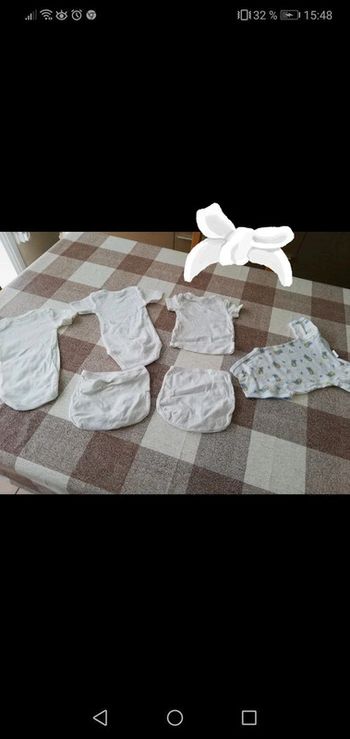 Lot 3 bodies manches courtes /1 maillot de corps manches courtes/ 2 culottes blanc 3 mois