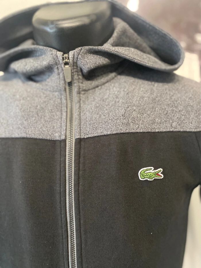 Sweat-shirt Lacoste - photo numéro 2