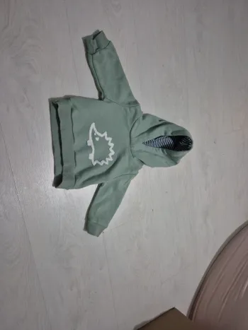 Sweat vert à capuche motif hérisson