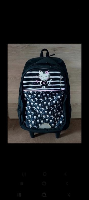 Sac à roulettes