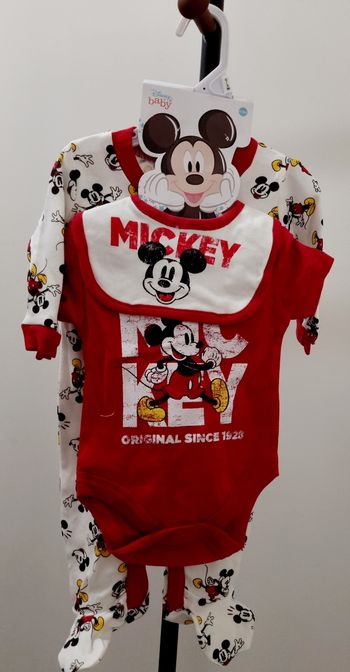 Ensemble Mickey disney