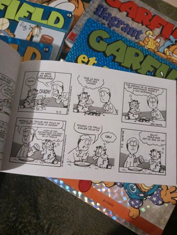 BD Garfield - photo numéro 2