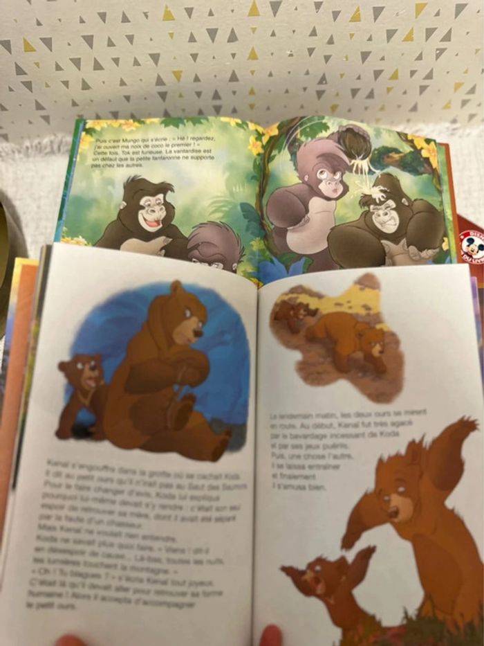 Lot de livres Disney X 9 - photo numéro 5