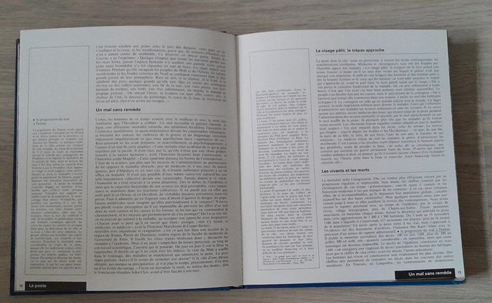 Les métamorphoses de l'humanité les découvertes histoire de l'art et du monde - photo numéro 10