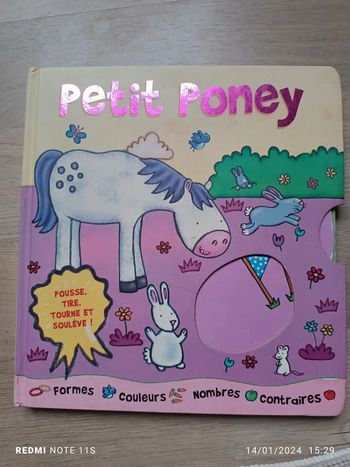 Petit poney