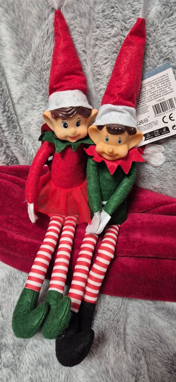 Duo de lutins farceurs - photo numéro 3