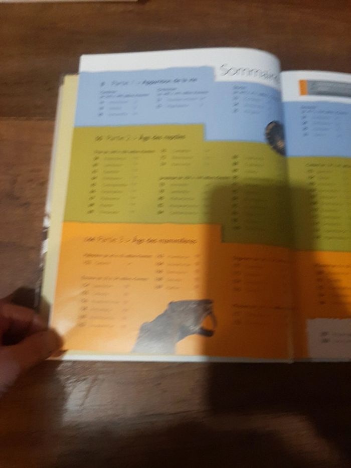 Grand livre Préhistoire des dinosaures aux premiers hommes - photo numéro 6