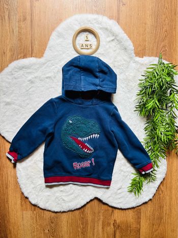 Sweat-shirt à capuche