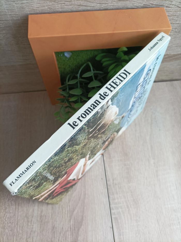 Livre Le roman de Heidi - photo numéro 5
