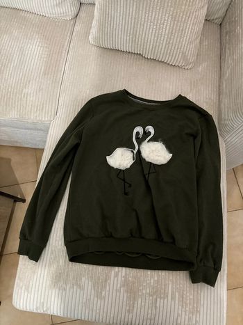 Sweat cygne