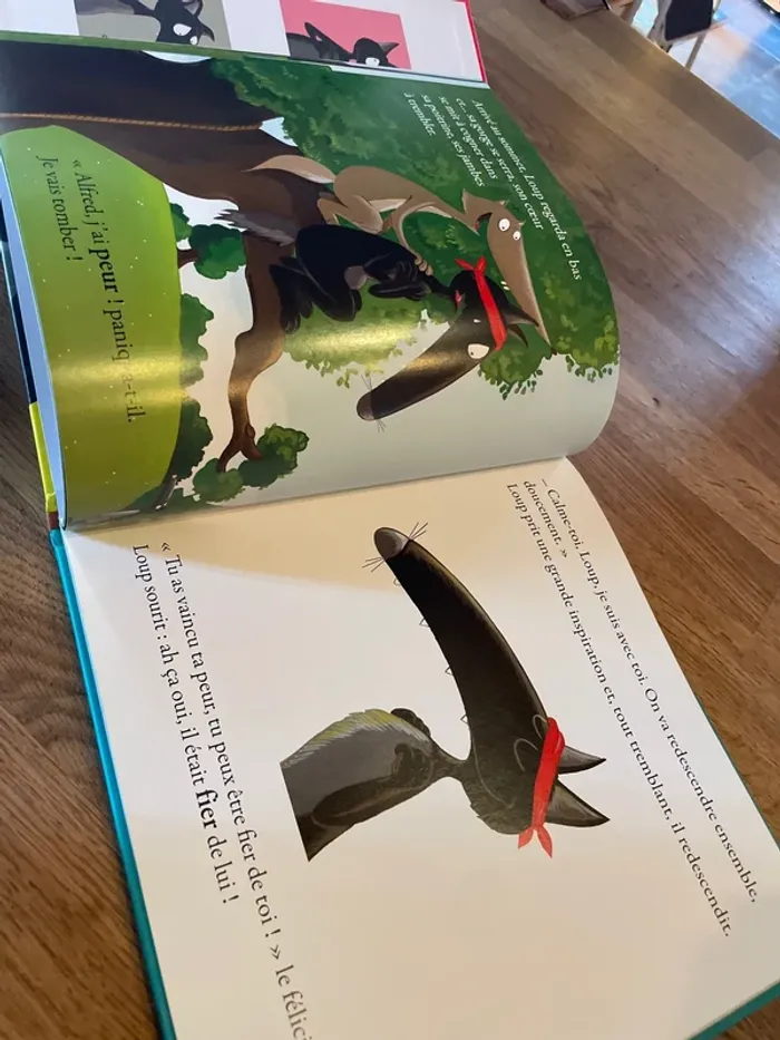 Livre couverture molletonné Mes grands Albums Le loup qui apprivoisait ses émotions - photo numéro 7