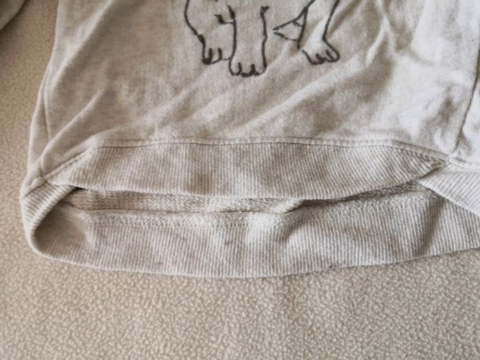 Pull chien - photo numéro 4