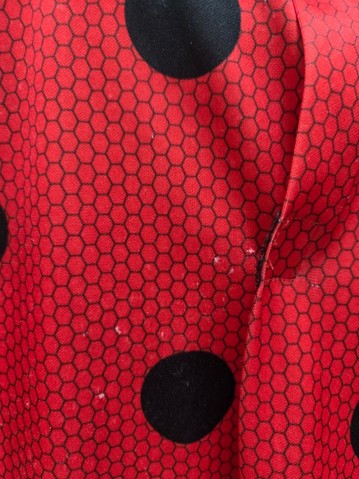 Déguisement Lady bug - photo numéro 6