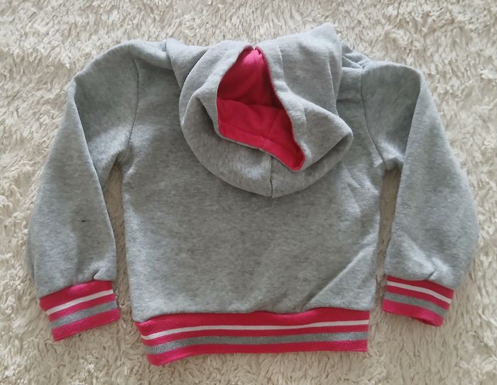 Sweat à capuche 3 ans - photo numéro 2