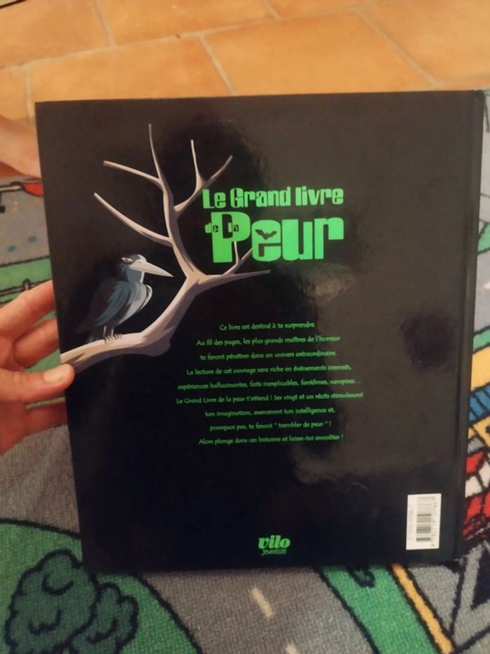 Le grand livre de la peur - photo numéro 2