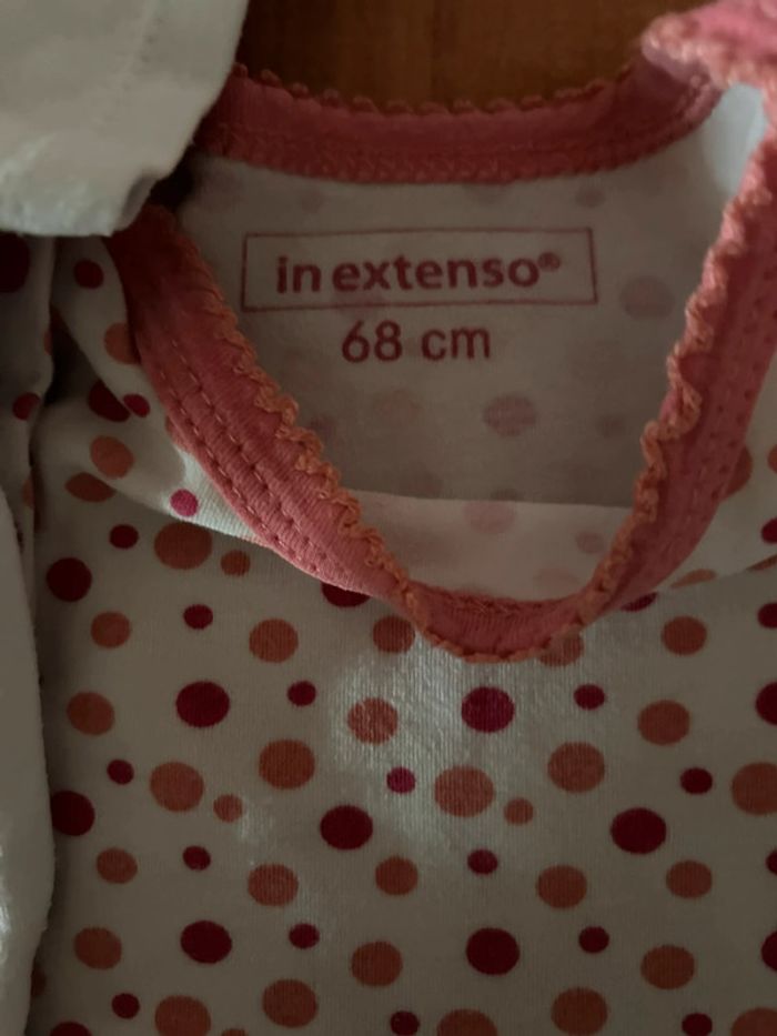 Lot 3 bodies in extenso - photo numéro 2