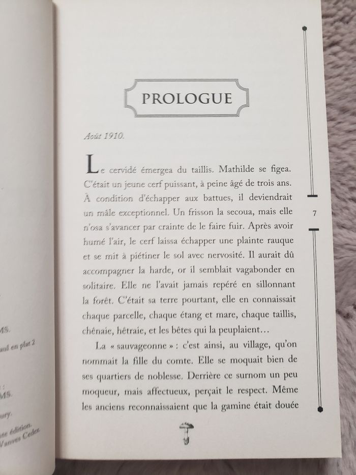 Roman - photo numéro 3