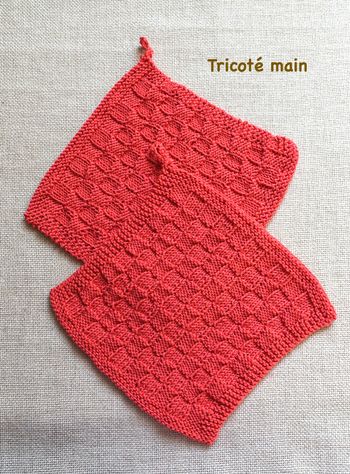Lot de 2 lavettes débarbouillettes zéro déchet - 100 % coton - Tricoté main