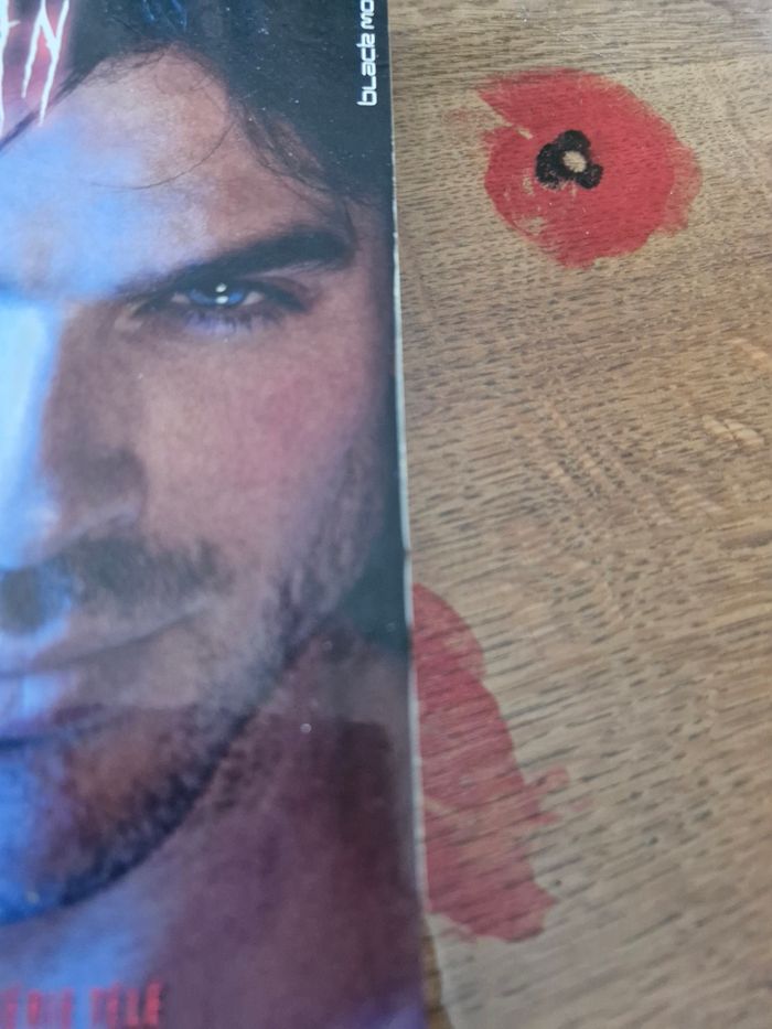 Intégrale Saga Le journal de Stefan (Vampire Diaries) - photo numéro 9