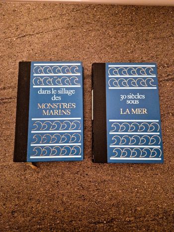 Lot de 2 livres anciens Éditions Famot 1974.