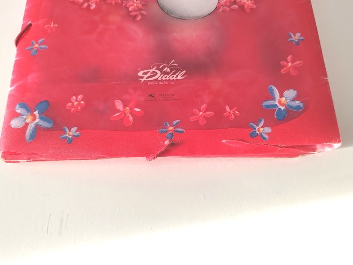 Pochette DIDDL - photo numéro 2