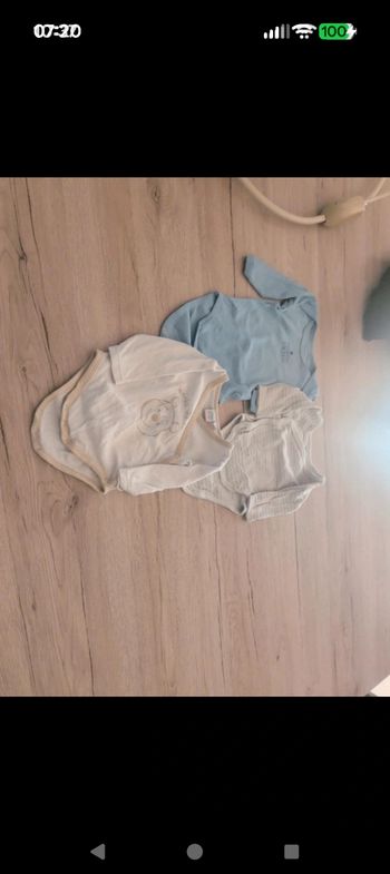 Bodies 