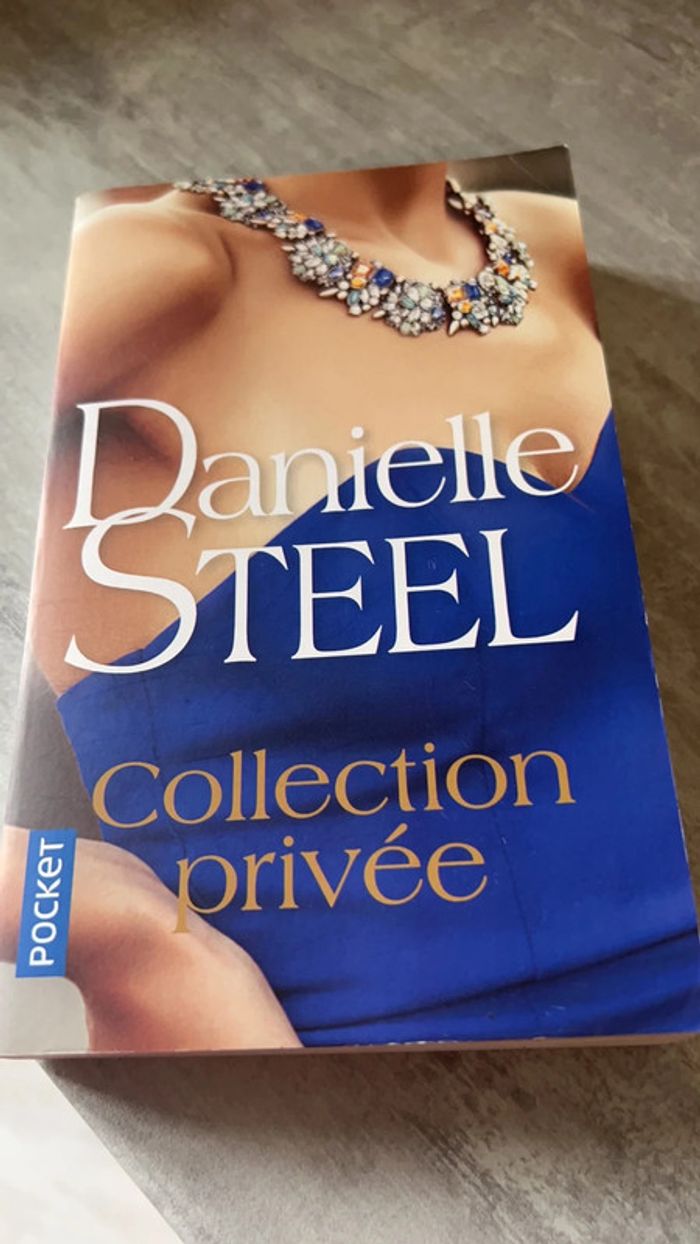 Livre état neuf Danielle sterling