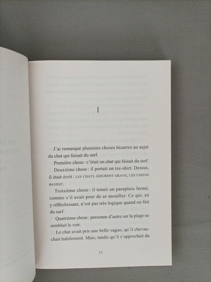 Joli livre "Skiddy mon ami imaginaire" neuf - photo numéro 6