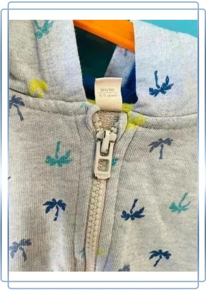 Très beau sweat léger à capuche 4/5 ans esprit - photo numéro 3