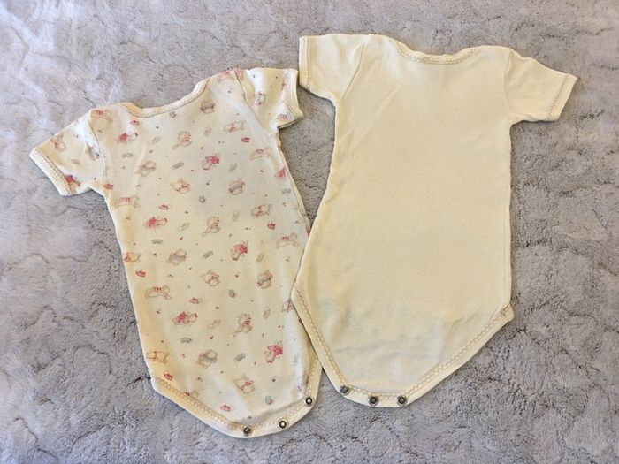 Lot de 2 bodys manches courtes - Petit Bateau - 3 mois - photo numéro 3